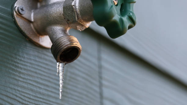 Best Plumbing Repair Near Me  in Taylor, AZ